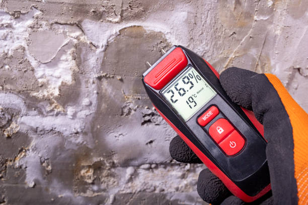 Crawl Space Mold Removal in North Bellport, NY